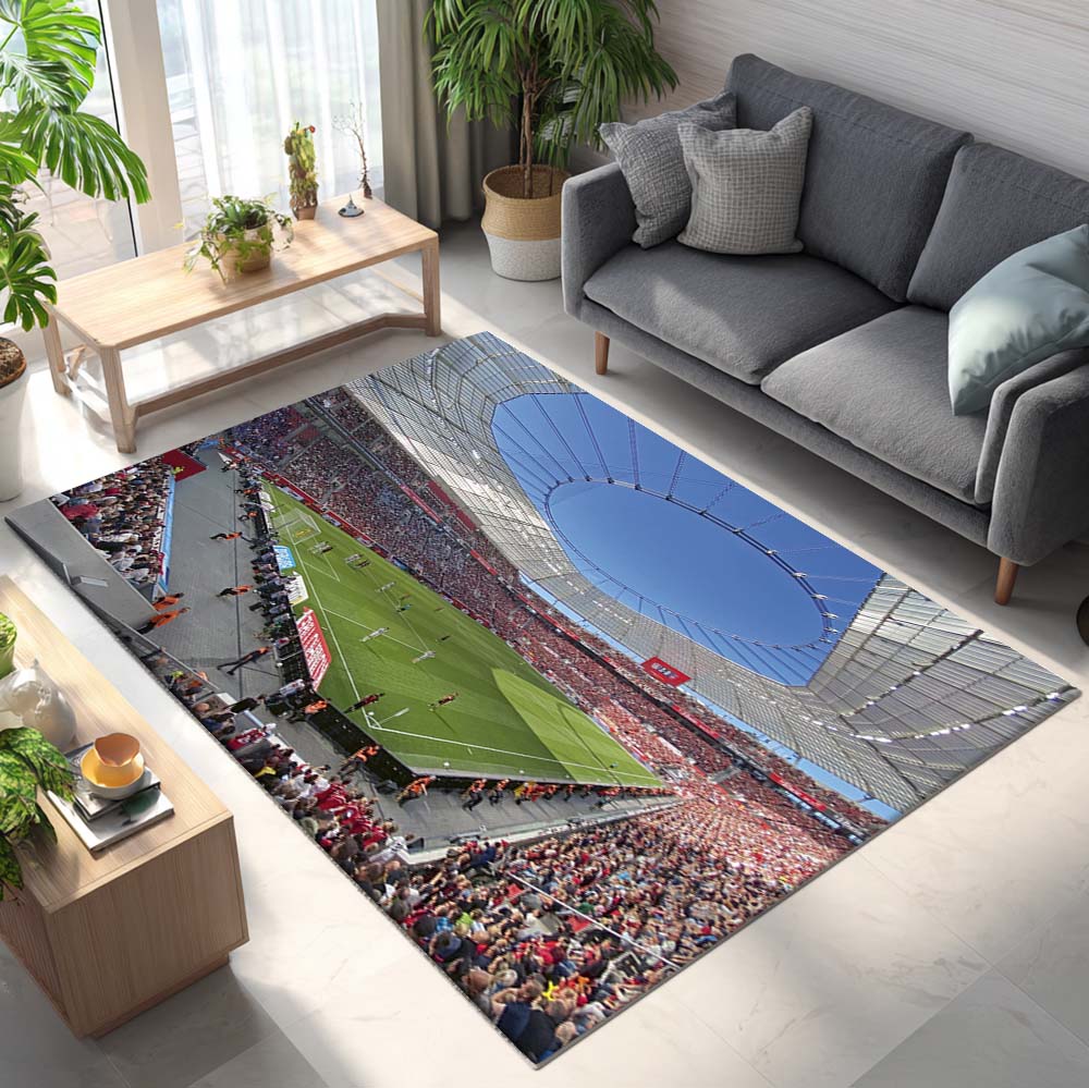 Spielfeld der BayArena Teppich 3