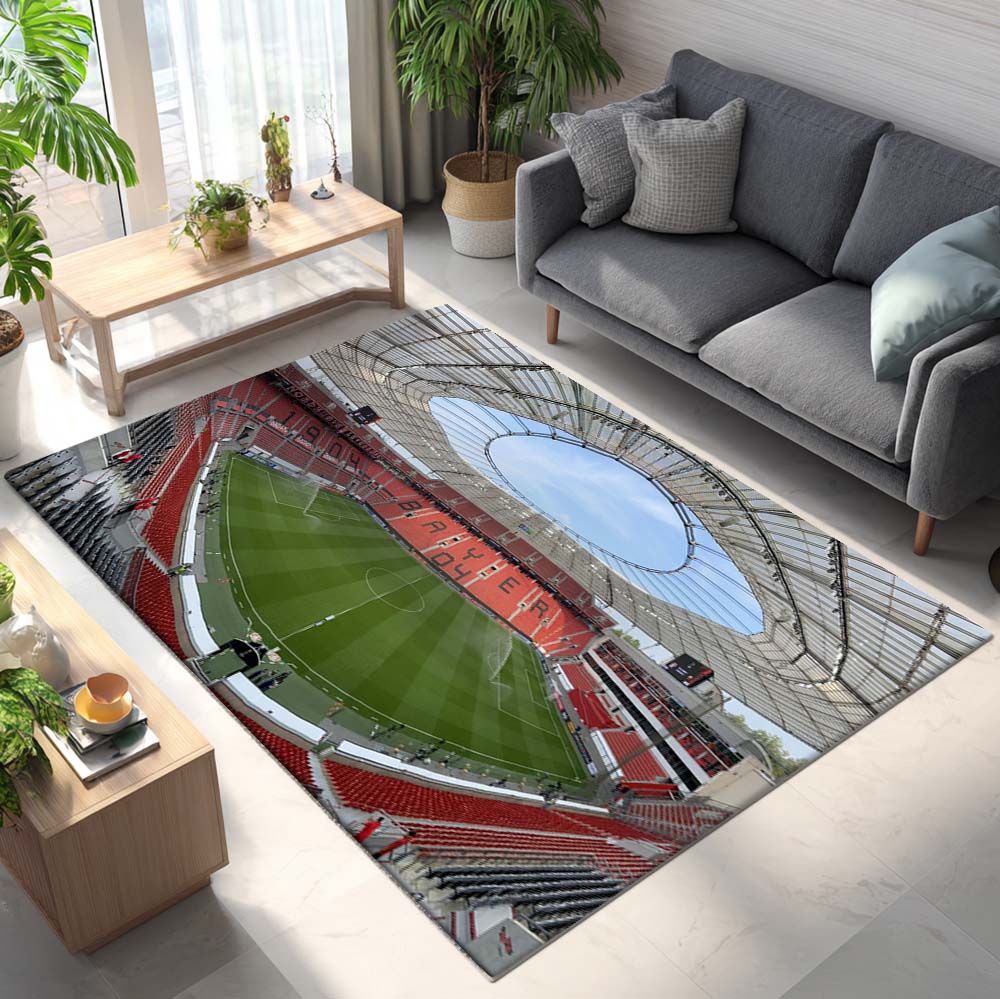Spielfeld der BayArena Teppich 9