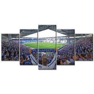 1. FC Magdeburg Sport 06 FCM Leinwandbilder