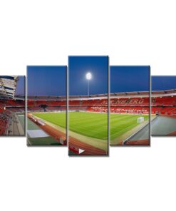 1. FC Nürnberg Sportplatz 07 FCN Leinwandbilder