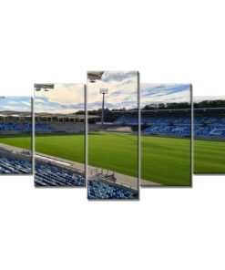 1. FC Saarbrücken Spielfeld Ludwigspark Stadion 2 Leinwandbilder