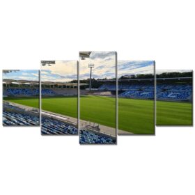 1. FC Saarbrücken Spielfeld Ludwigspark Stadion 2 Leinwandbilder