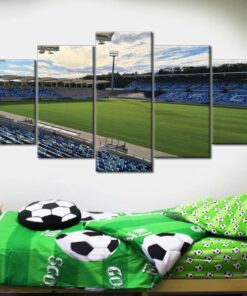 Alternative view of 1. FC Saarbrücken Spielfeld Ludwigspark Stadion 2 Leinwandbilder