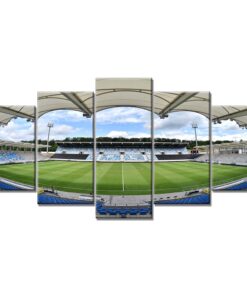 1. FC Saarbrücken Spielfeld Ludwigspark Stadion 3 Leinwandbilder