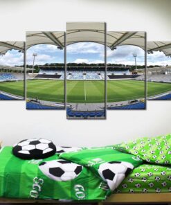 Alternative view of 1. FC Saarbrücken Spielfeld Ludwigspark Stadion 3 Leinwandbilder