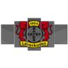 Bayer 04 Leverkusen B0408 B04 Leinwandbilder