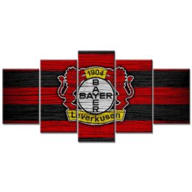 Bayer 04 Leverkusen B0416 B04 Leinwandbilder