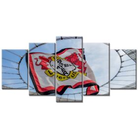 Bayer 04 Leverkusen B0421 B04 Leinwandbilder