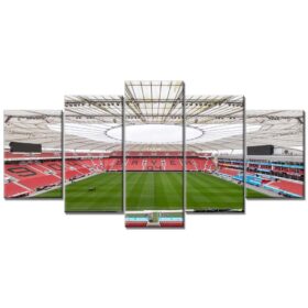 Bayer 04 Leverkusen BayArena Spielfeld 7 B04 Leinwandbilder