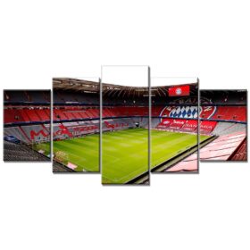FC Bayern München Allianz Arena Spielfeld Mia san mia 14 FCB Leinwandbilder