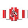 1. FC Köln KOE15 KOE Leinwandbilder