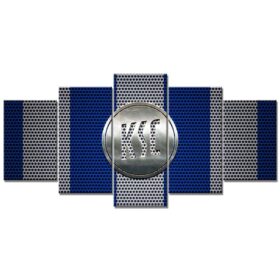 Karlsruher SC Blau-Weißes Metallgitter KSC Leinwandbilder