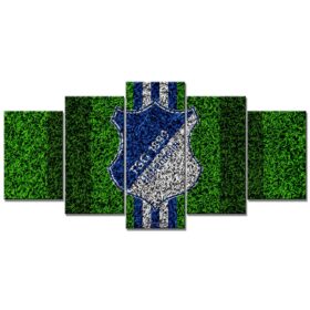 TSG 1899 Hoffenheim TSG03 TSG Leinwandbilder