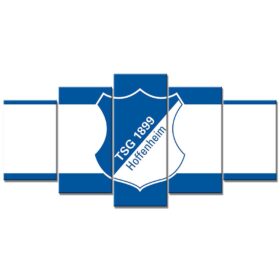 TSG 1899 Hoffenheim TSG09 TSG Leinwandbilder